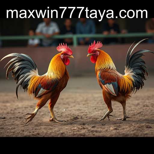 MAXWIN777